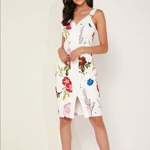 Ted Baker London | Amylia Berry Sundae Feminine Sophisticated Dress Size S (1)